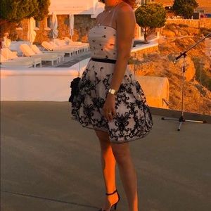 Adrianna Papell dress